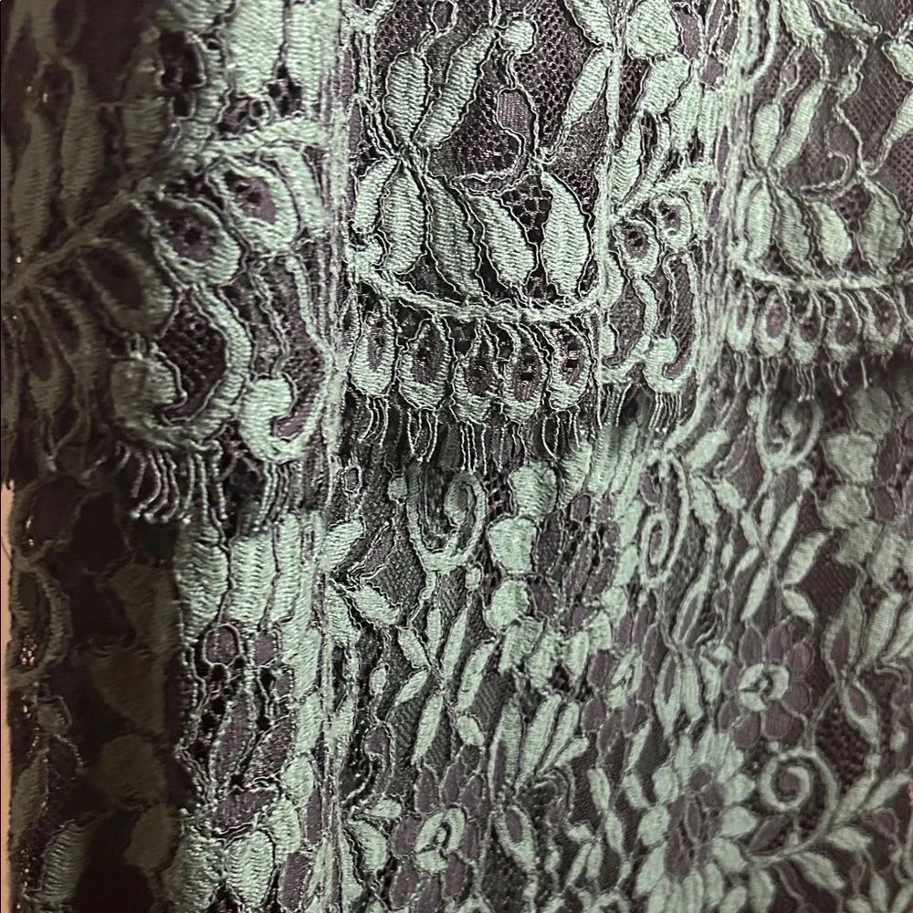 Calvin Klein Forest Green Lace Midi Dress with Slip - Picture 4 of 13